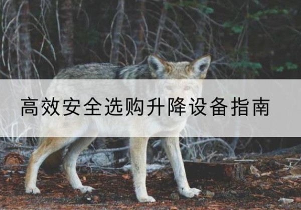 满城升降货梯厂家推荐-*安全选购升降设备指南