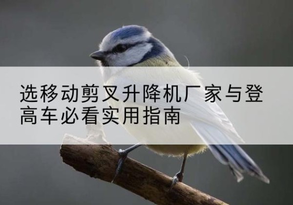 满城电动升降机厂家-选移动剪叉升降机厂家与登高车必看实用指南