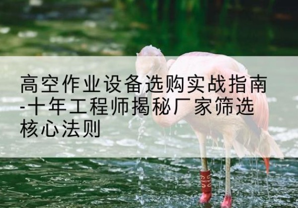 满城剪叉式升降机厂家-高空作业设备选购实战指南-十年工程师揭秘厂家筛选核心法则